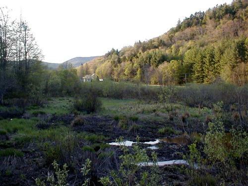 Bed & Breakfast Mountain Valley Retreat
