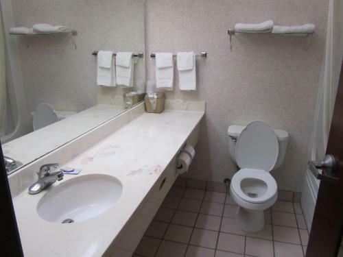 Motel Executive Inn And Suites Wichita Falls