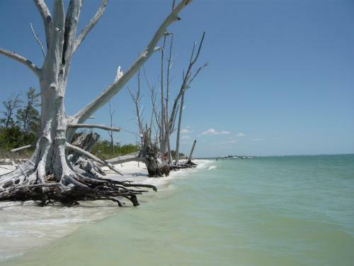 Villa Cape Florida