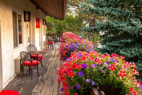 Motel Bavarian Inn