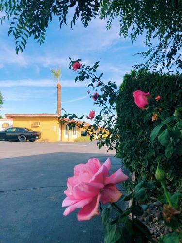 Motel Royal Inn And Suites