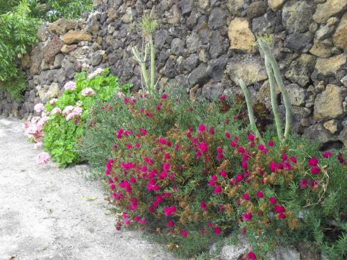 Casa Rural Abuelo Pancho