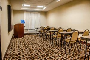 Hotel Comfort Suites Saraland