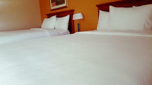 Hotel Holiday Inn Express Moreno Valley - Lake Perris