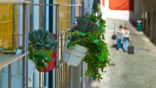 Duque�s Apartments