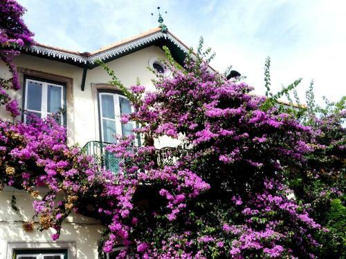Apartamento Lisbonbreak - Sintra