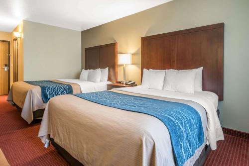 Hotel Comfort Inn Lacey