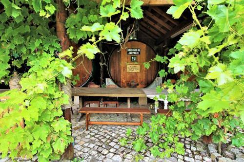Villa Ana Margarida Ecological