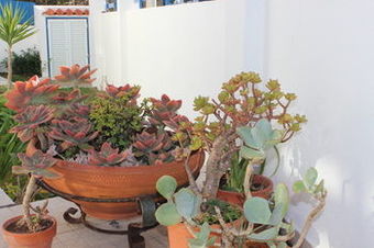 Ericeira Chill Hill Hostel & Private Rooms