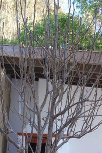 Ericeira Chill Hill Hostel & Private Rooms