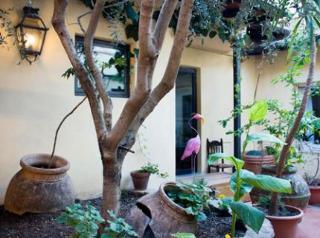 Bed & Breakfast Casa Pucci
