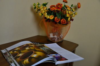Bed & Breakfast Leopoldo