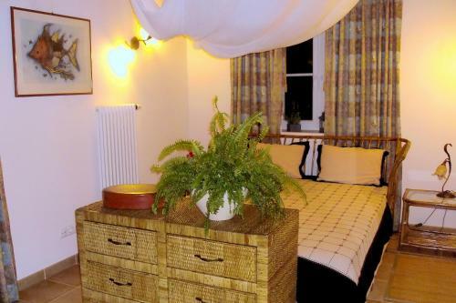 Agroturismo Salgadinho Casa De Campo & Selao Da Eira Velha