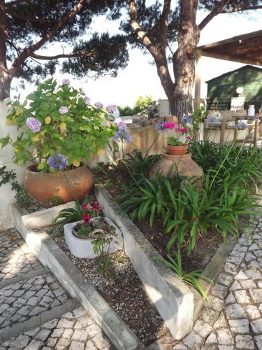 Bed & Breakfast Pegada Real