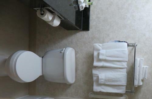 Hotel Holiday Inn Express Williamston