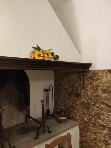 B&B Antico Podere Il Bugnolo