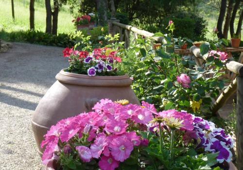 B&B Antico Podere Il Bugnolo