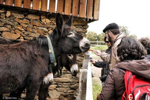 Agroturismo Curral De L Tiu Pino
