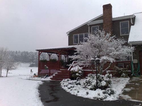 On Cranberry Pond Bed And Breakfast