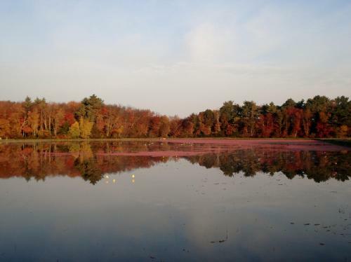On Cranberry Pond Bed And Breakfast