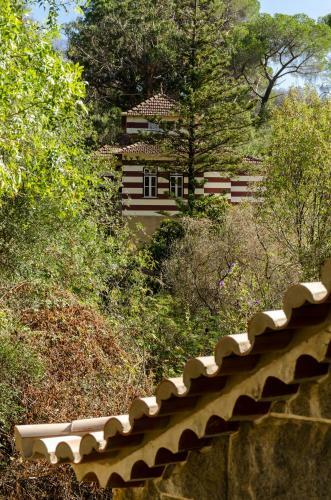 Monchique Chalet