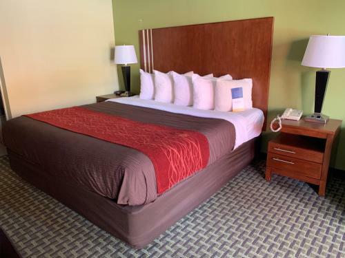 Hotel Days Inn By Wyndham Austintown