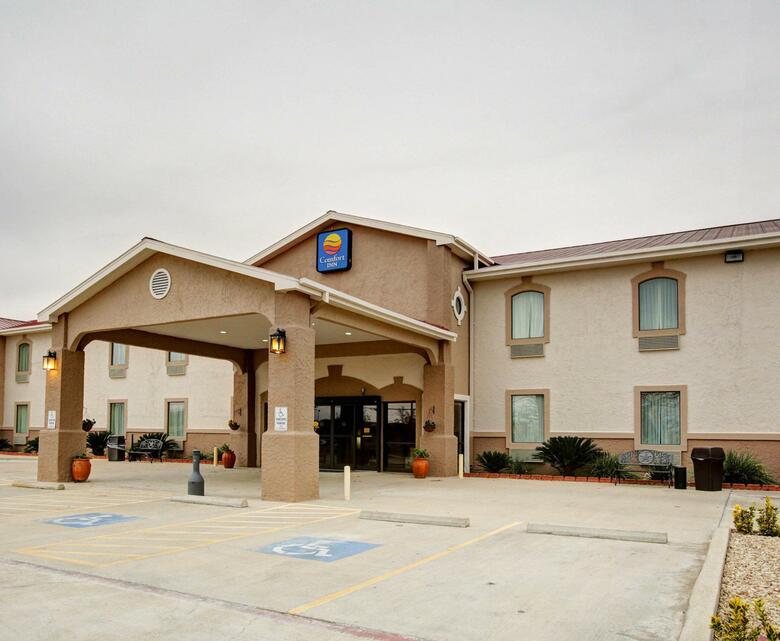 Hotel Comfort Inn Rockdale