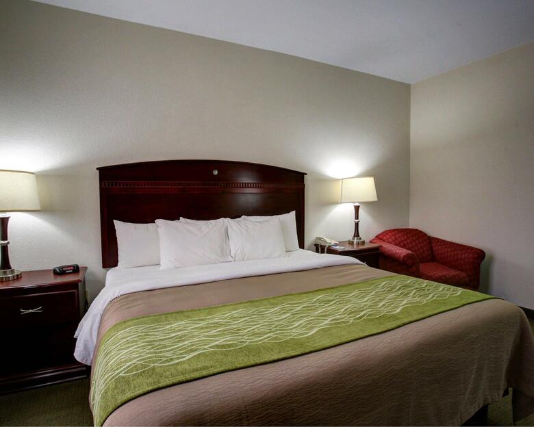 Hotel Comfort Inn Rockdale
