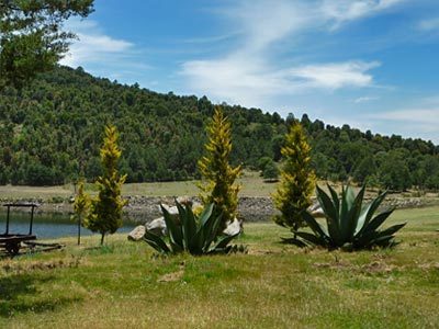 Agroturismo Hacienda De La Luz