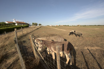 Agroturismo Herdade Do Touril