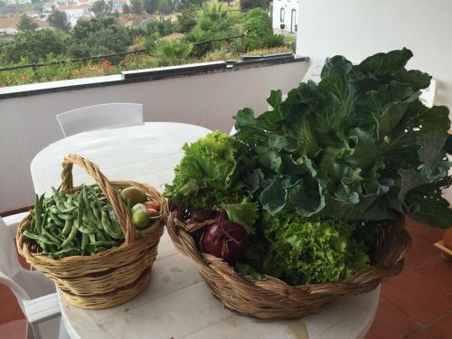 Holiday Home Monte Das Azinheiras