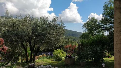 Apartamento Aicardi