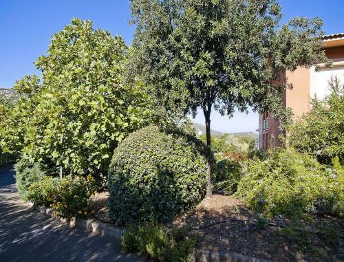 Apartamento R�sidence Suarella