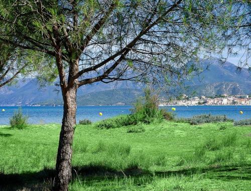 Apartamento R�sidence Suarella