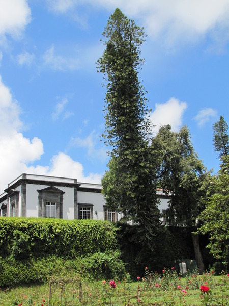 Hostal Residencial Casa Do Jardim
