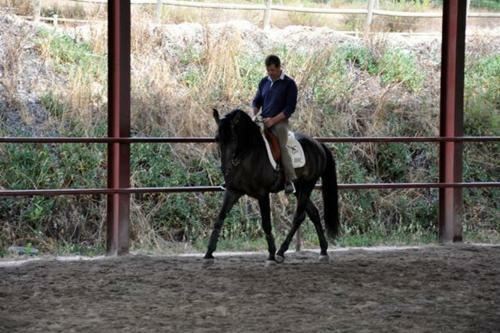 Agroturismo Coudelaria Vale Pau