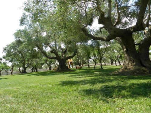 Agroturismo I Trulli Del Nonno Michele