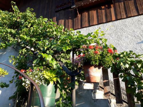 Gites Le Criou Et Le Moulin