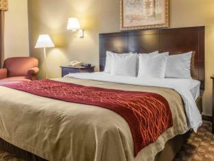 Hotel Comfort Inn Defiance