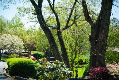 Apartamento Country Hideaway At Mountain Lakes Resort