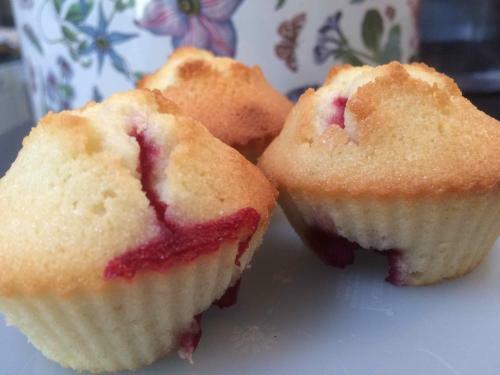 Agroturismo Domaine De Joreau