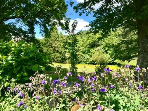 Agroturismo Domaine De Joreau