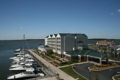 Hotel Hilton Garden Inn Kent Island