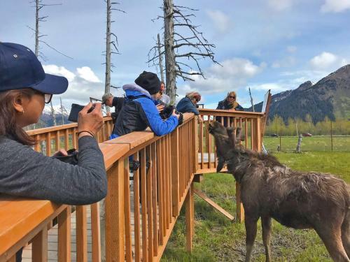 Alyeska Hideaway