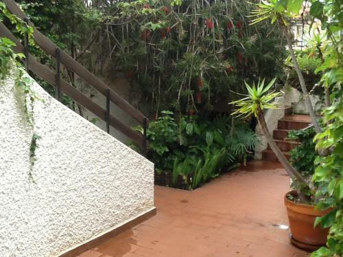 Apartamento Chuva De Prata