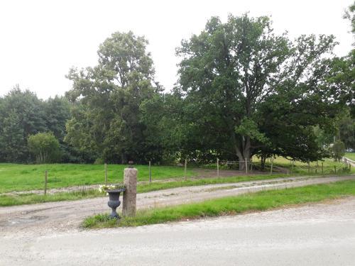 �lgbergets Bed & Breakfast