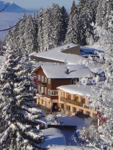 Hotel Restaurant Alpina
