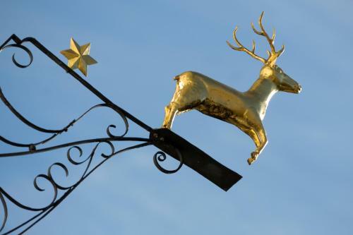 Hotel Gasthof Hirschen