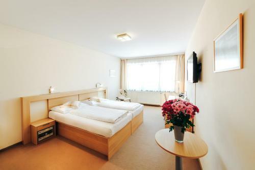 Hotel Biograf