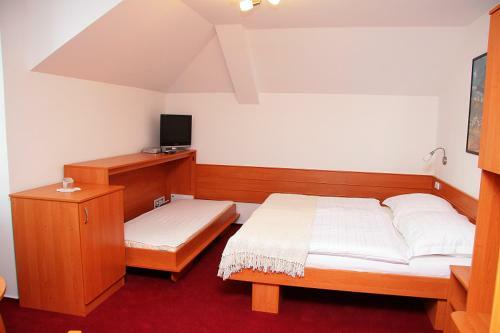 Hostal Penzion Bocheta